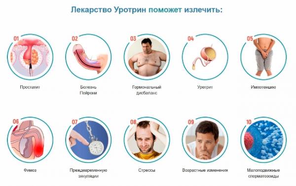 Уротрин поможет излечить Уротрин поможет излечить