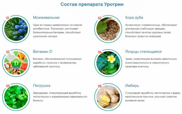 Состав Уротрин Состав Уротрин