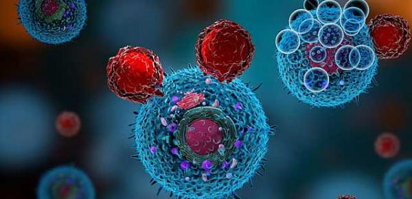 раковые клетки