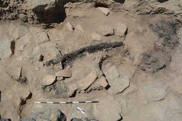 раскопки Армавирский марз