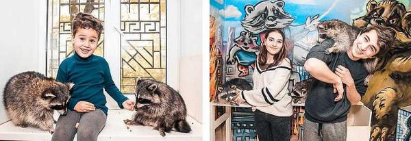 Контактный зоопарк в Петербурге