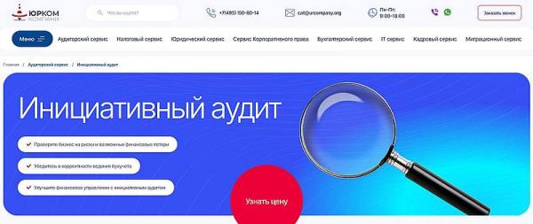 инициативный аудит