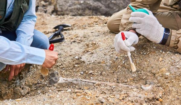 археология Мецамор археология Мецамор