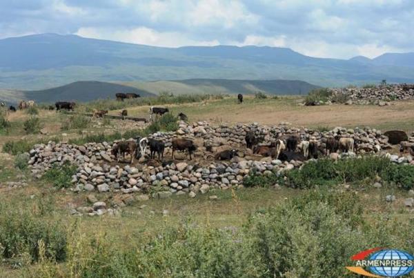 Пять лет под прицелом оккупантов