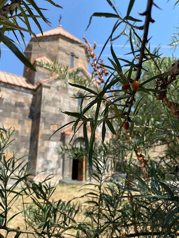 Чичханаванк