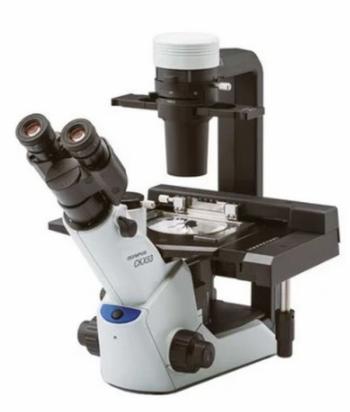 Olympus CKX53 Olympus CKX53