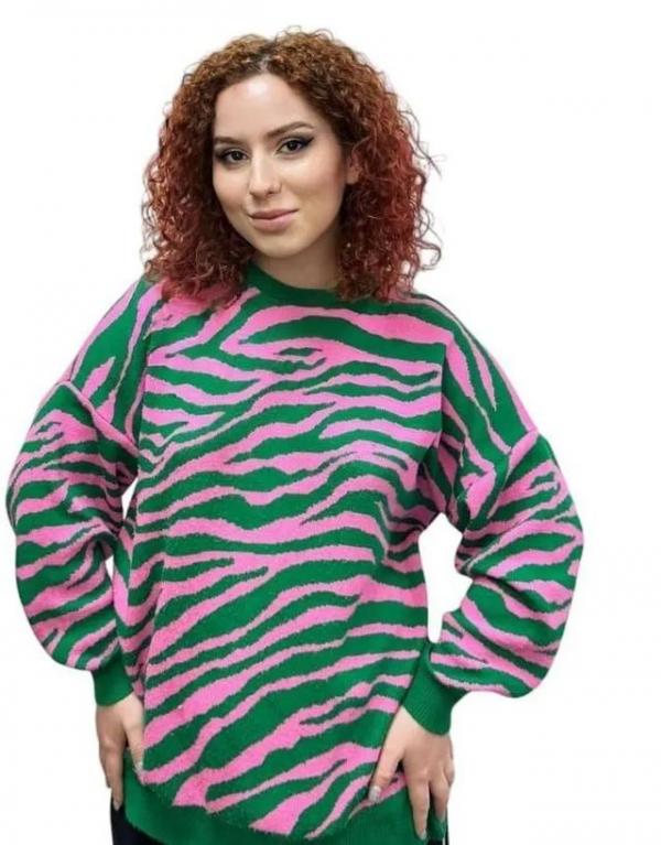 Шапорова Анастасия