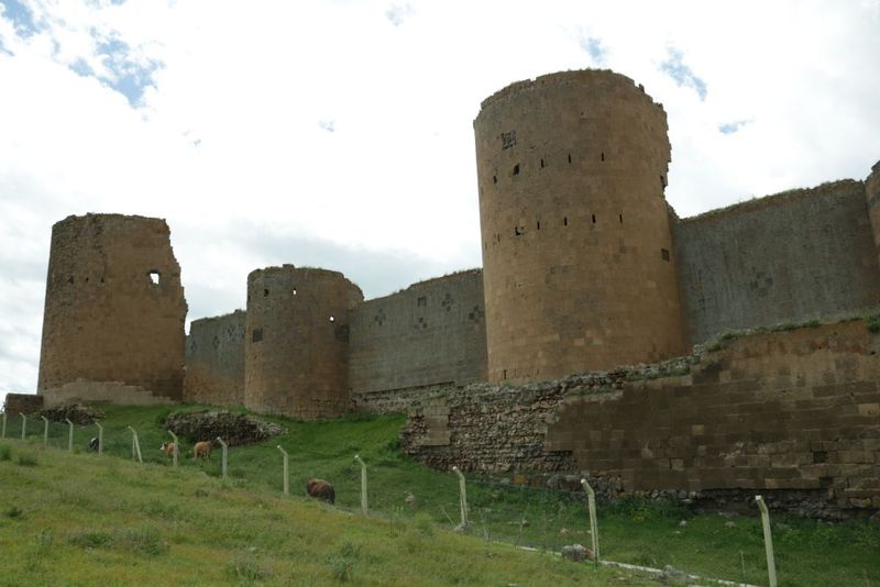 Ани Ани