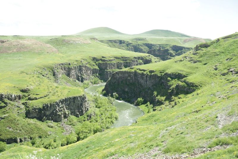Ани Ани