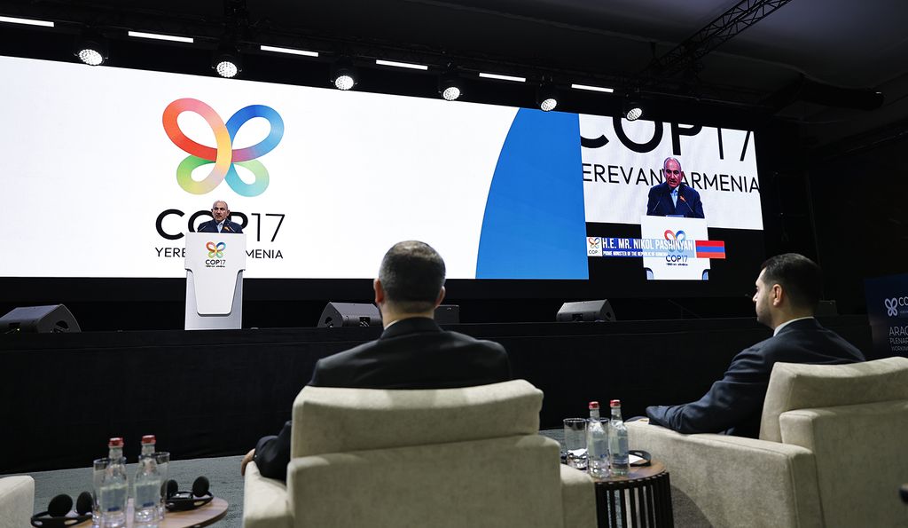 COP17 Ереван