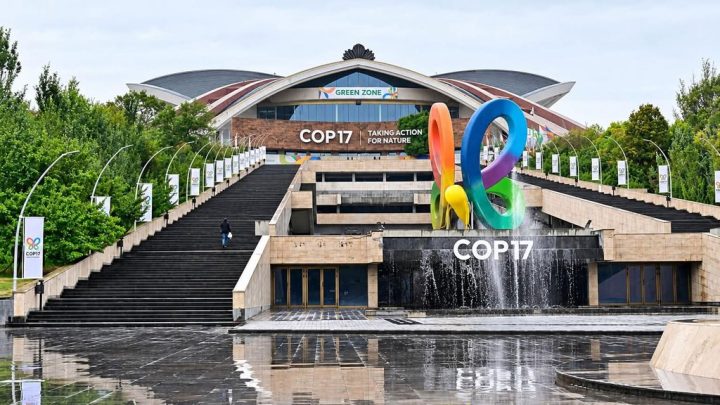 cop17 Ереван