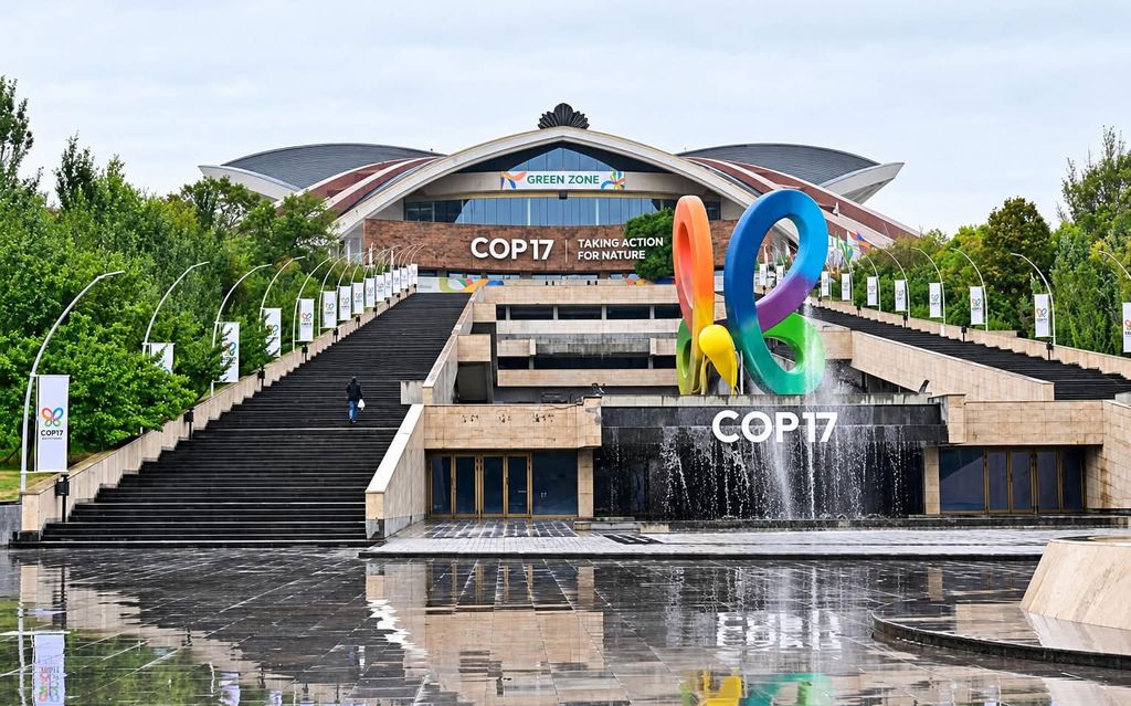 cop17 Ереван